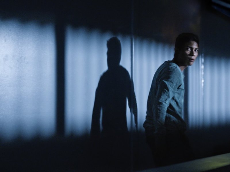 In Conversation: Amat Escalante and Mexican Rendered Realities