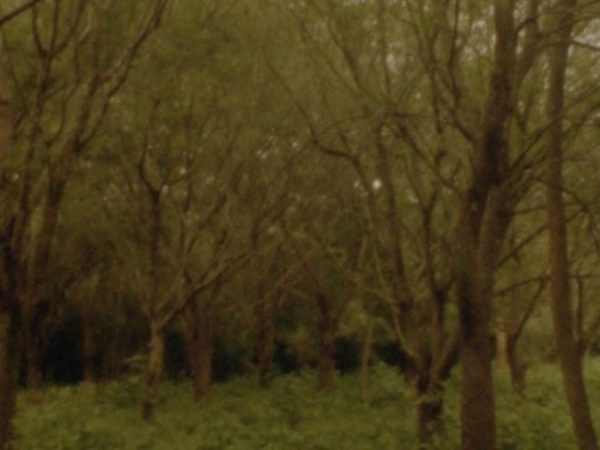 In Conversation: Lina Rodriguez and the persistence of memory